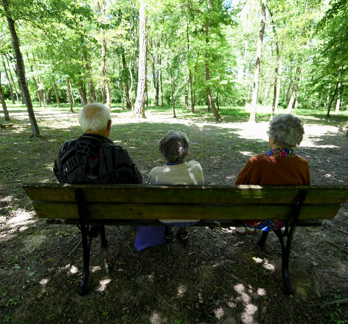 Parc paisible, verdoyant et boisé de la Résidence Les Acacias