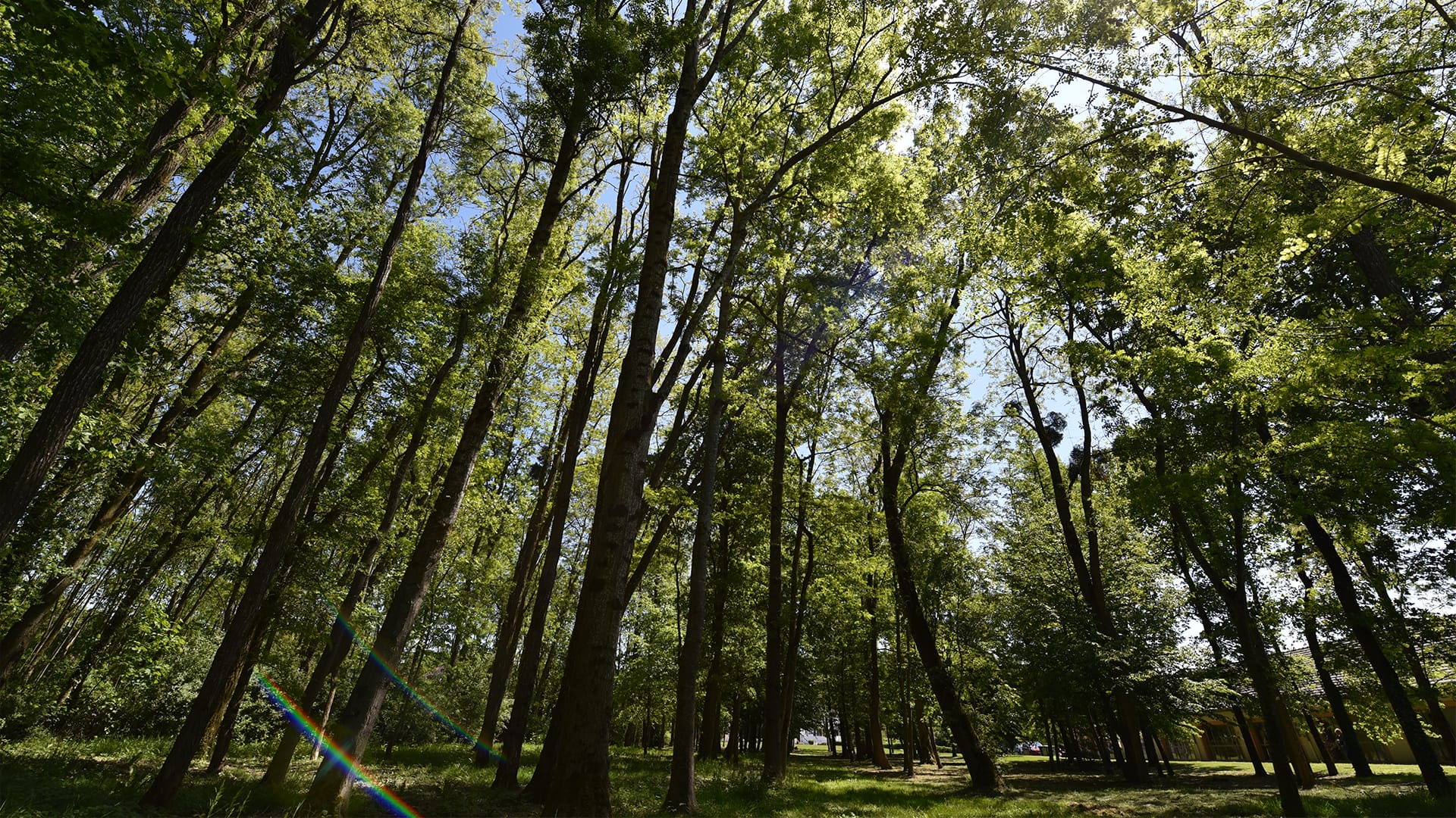 Parc extérieur verdoyant et boisé autour de la Résidence Les Acacias